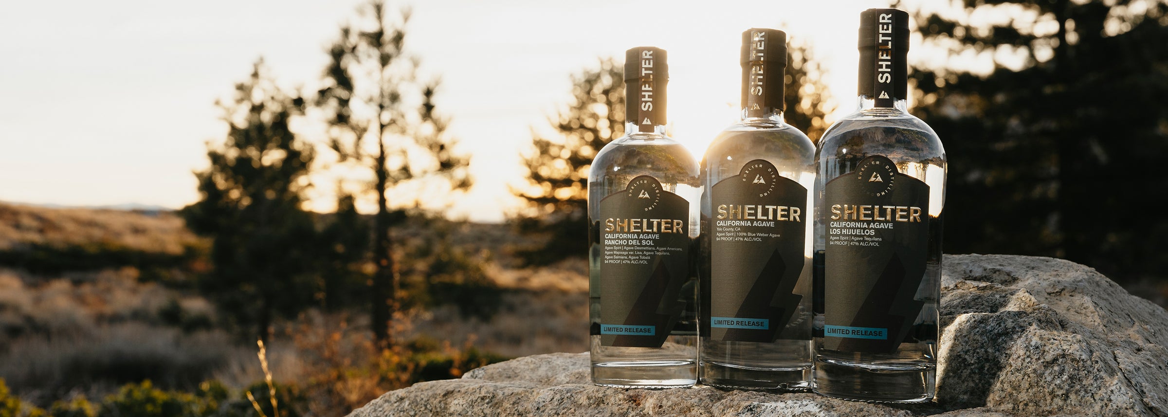 Rancho del Sol, Yolo County, and Los Hijuelos California Agave