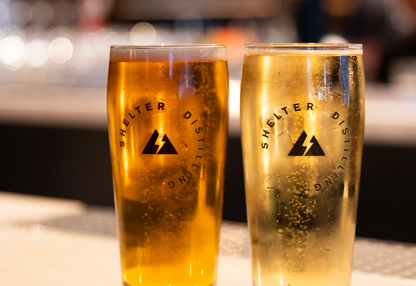 Shelter Craft Draft Beer