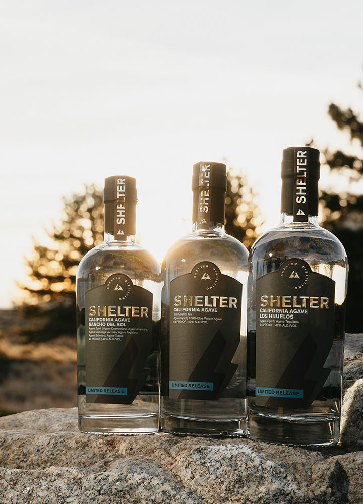 Rancho del Sol, Yolo County, and Los Hijuelos California Agave