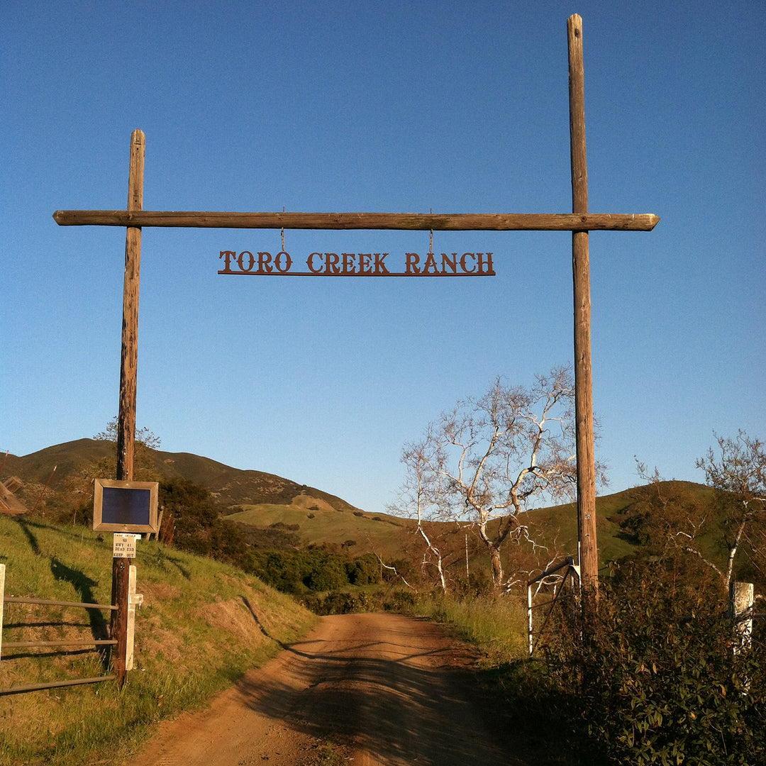 California Agave | Toro Creek Ranck